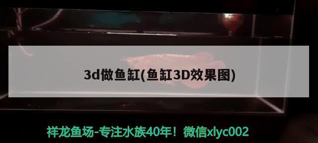 3d做鱼缸(鱼缸3D效果图)