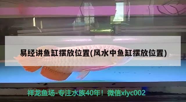 龙鱼死了有什么忌讳：龙鱼死了有什么预兆是替人挡灾吗 龙鱼百科 第2张