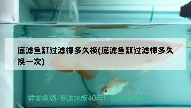 底滤鱼缸过滤棉多久换(底滤鱼缸过滤棉多久换一次) 水族用品