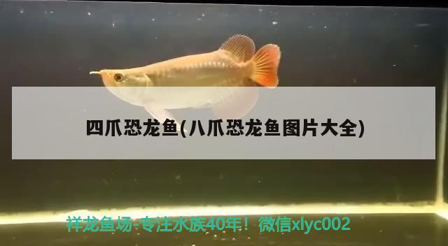 关于创星加热棒ah好还是hch好创星加热棒ah好还是hch好（创星加热棒ah和hch哪个好）的信息