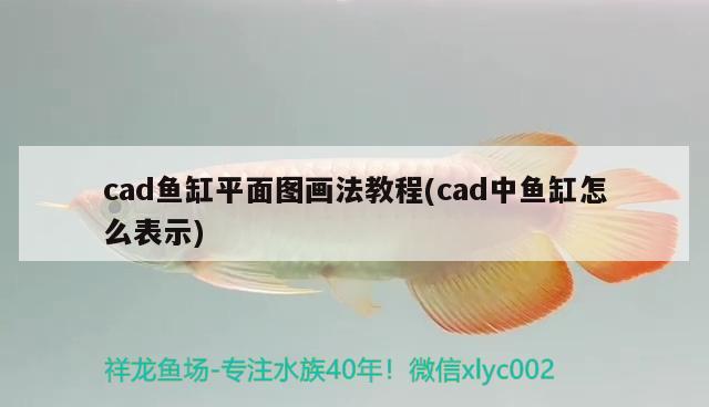 cad鱼缸平面图画法教程(cad中鱼缸怎么表示) 印尼红龙鱼