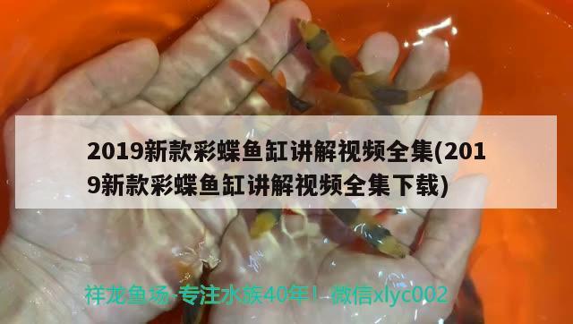 2019新款彩蝶鱼缸讲解视频全集(2019新款彩蝶鱼缸讲解视频全集下载)