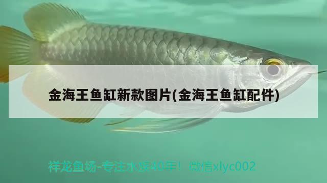 北京于光祖水族用品店