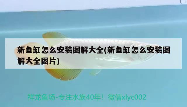 赤魟鱼的做法有哪些，井水可以养魟鱼吗