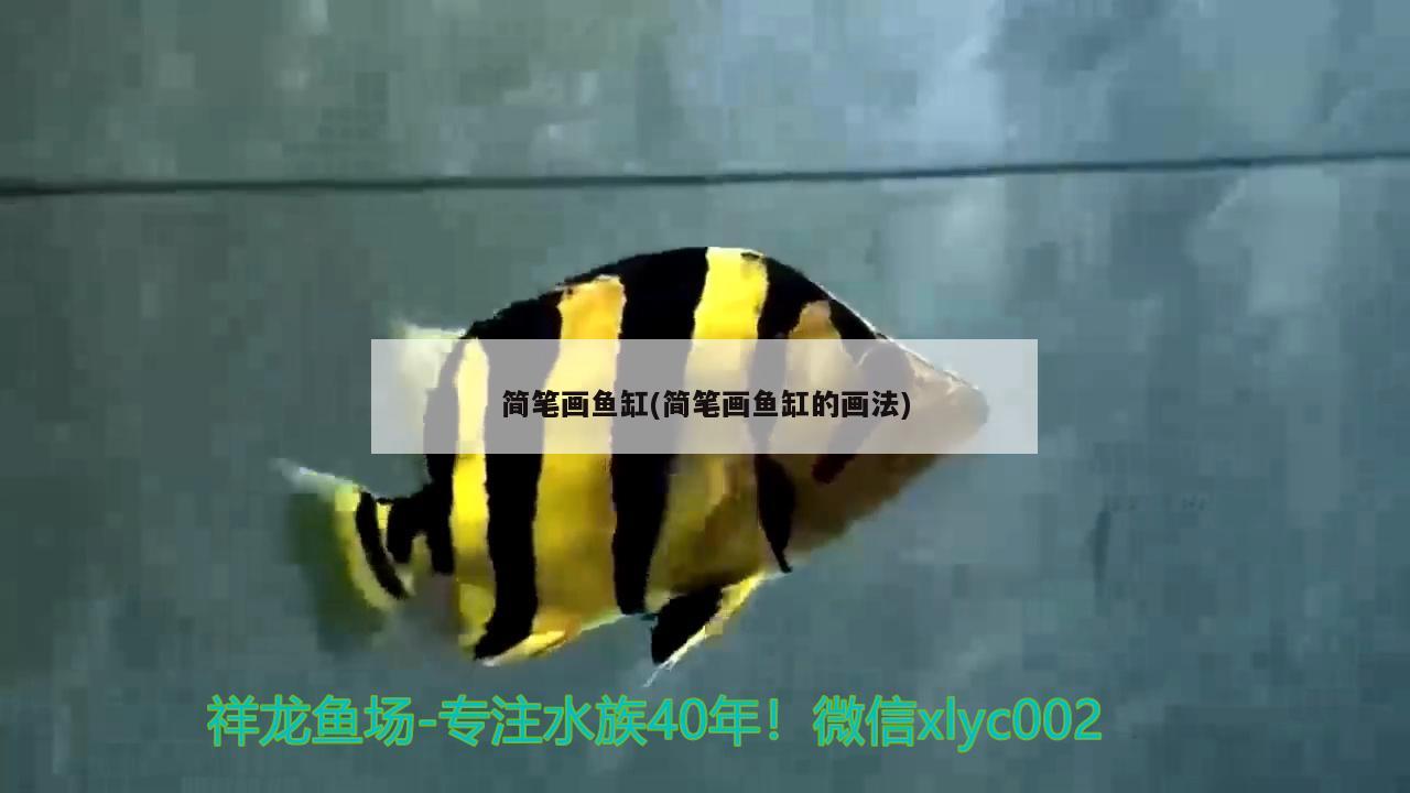 简笔画鱼缸(简笔画鱼缸的画法) 广州祥龙国际水族贸易