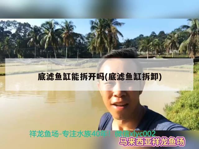 底滤鱼缸能拆开吗(底滤鱼缸拆卸) 粗线银版鱼苗