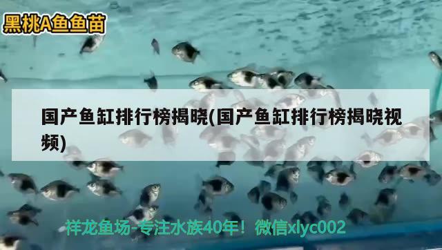 鱼缸彩灯价格表及图片(鱼缸照明灯价格) 祥龙水族护理水