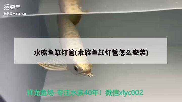 水族鱼缸灯管(水族鱼缸灯管怎么安装) 帝王三间鱼