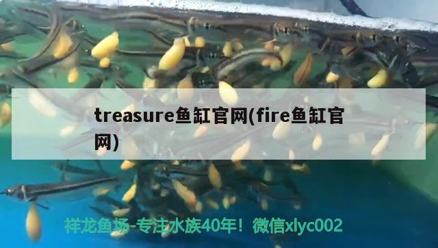 treasure鱼缸官网(fire鱼缸官网)