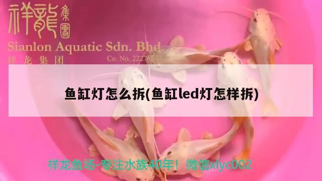 鱼缸灯怎么拆(鱼缸led灯怎样拆) 潜水泵