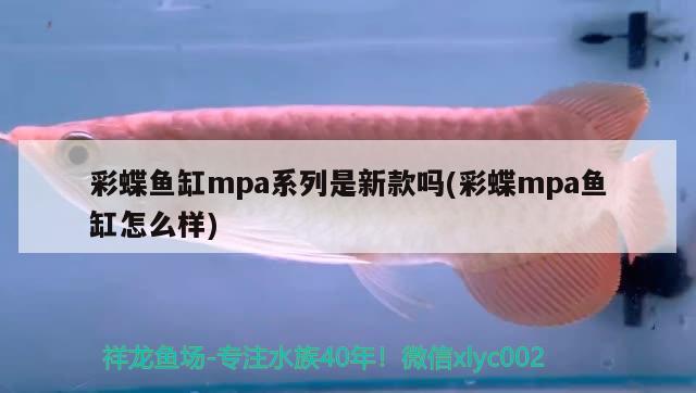 彩蝶鱼缸mpa系列是新款吗(彩蝶mpa鱼缸怎么样) 印尼三纹虎