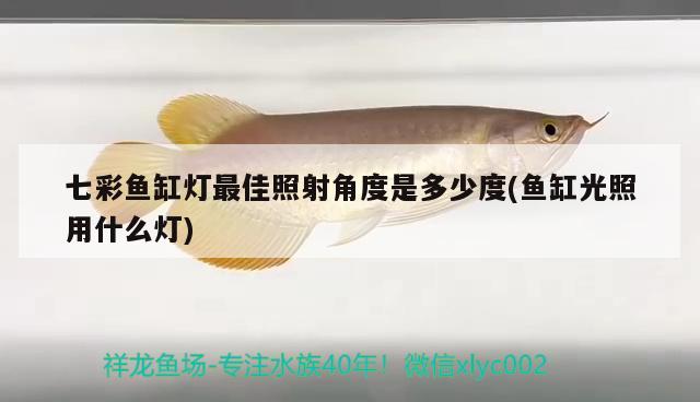 七彩鱼缸灯最佳照射角度是多少度(鱼缸光照用什么灯)