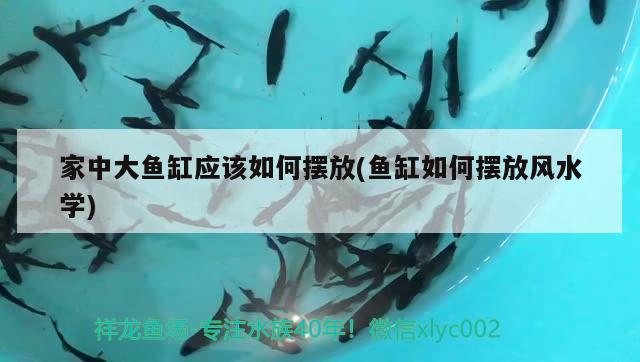 广州泽羿商贸店 全国水族馆企业名录 第3张