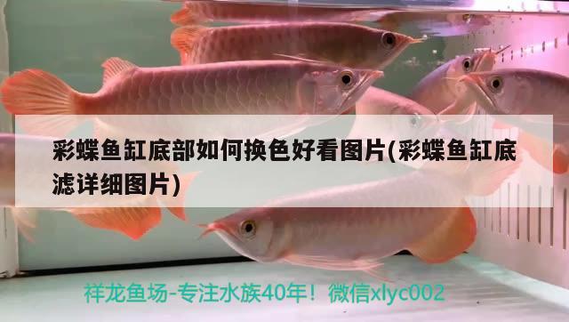 北京邵风岐水族用品店 水族用品 第1张