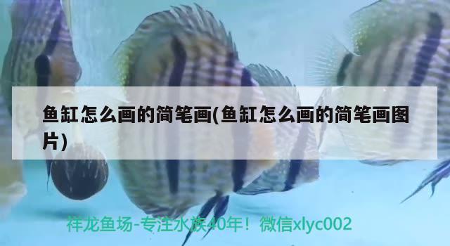 北京市海淀区远大广源工艺品市场郑光桥水族用品店