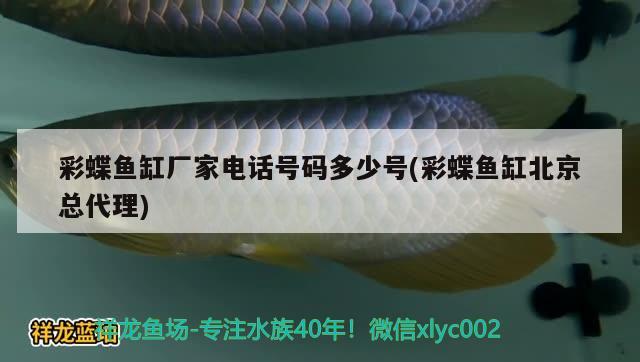 彩蝶鱼缸厂家电话号码多少号(彩蝶鱼缸北京总代理) 孵化器