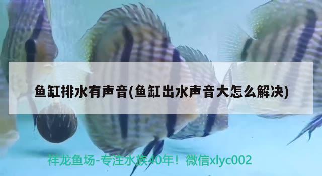 鱼缸排水有声音(鱼缸出水声音大怎么解决)