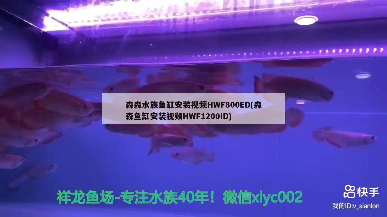 森森水族鱼缸安装视频HWF800ED(森森鱼缸安装视频HWF1200ID)