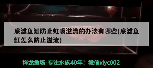 鱼缸位置的摆放禁忌(鱼缸位置的摆放禁忌图解)