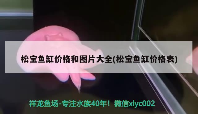 福州观赏鱼养殖基地电话地址查询 福州金鱼养殖场哪家好 广州观赏鱼批发市场