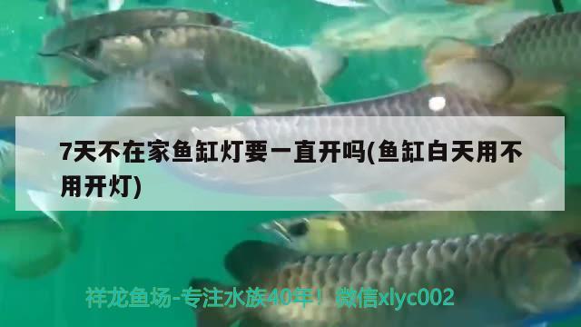 孝感水族批发市场在哪里啊多少钱一个（火锅店装修,用什么方法能让卫生间看起来不）