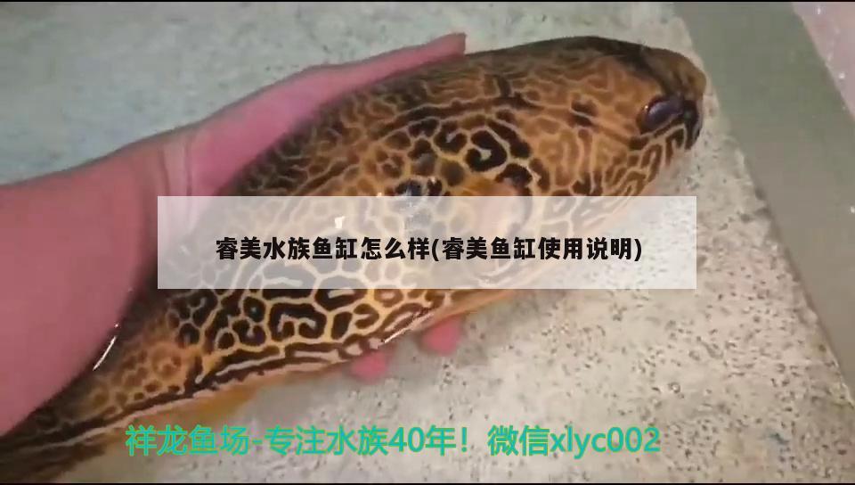 睿美水族鱼缸怎么样(睿美鱼缸使用说明)