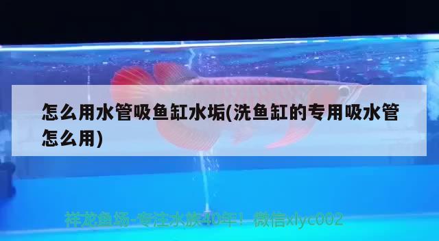 森森水族鱼缸官网：森森水族箱质量怎么样