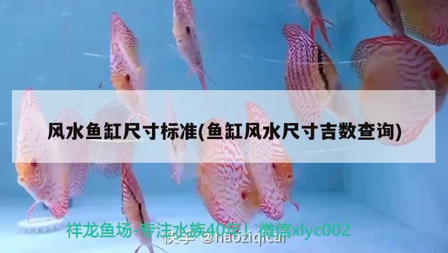 森森水族鱼缸官网：森森水族箱质量怎么样