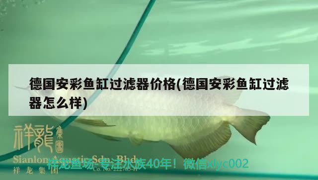 德国安彩鱼缸过滤器价格(德国安彩鱼缸过滤器怎么样) 鱼缸百科