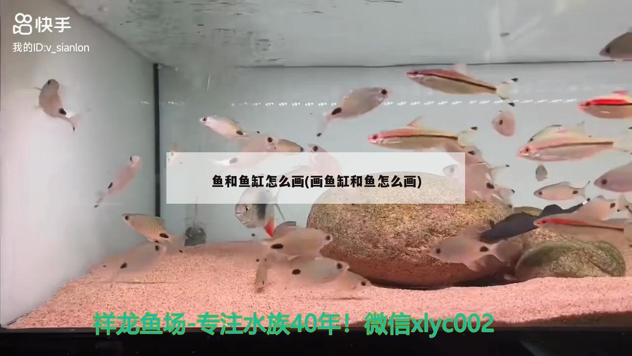 鱼和鱼缸怎么画(画鱼缸和鱼怎么画)