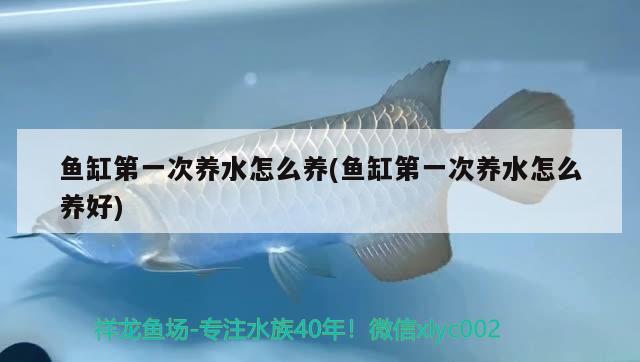 北京福特4s店沃森威尔价格，【锐界 问了4s店，说得订车，一个劲儿强推二豪，可我就想要黑武士，给个建议，谢谢大家，就差个音响，不在意】