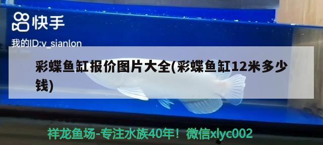 王八、鳖、乌龟、甲鱼是同一种东西吗，乌龟，海龟和王八有什么区别