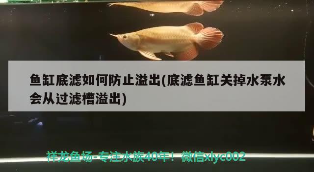 鱼缸底滤如何防止溢出(底滤鱼缸关掉水泵水会从过滤槽溢出) 七彩神仙鱼