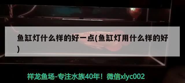 小鱼缸怎样自制循环水 小鱼缸怎样自制循环水泵 和兴红龙 第2张