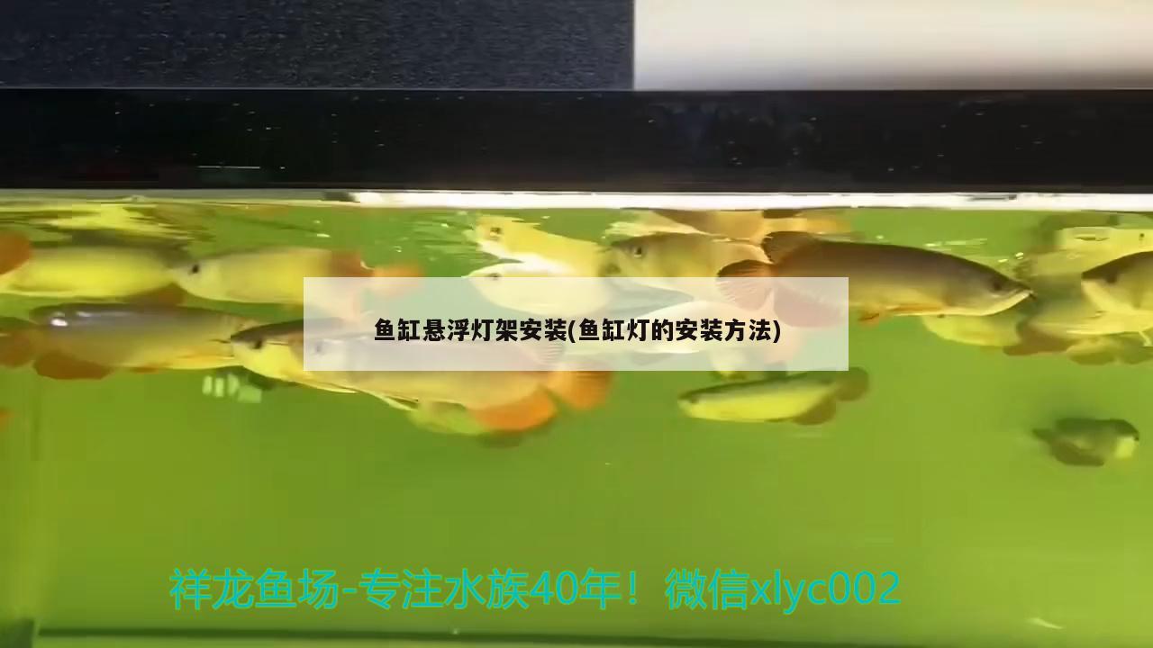 鱼缸悬浮灯架安装(鱼缸灯的安装方法)