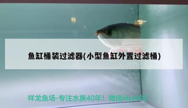 吉林金龙鱼有限公司：吉林省金龙鱼油经销商查询 观赏鱼市场 第1张