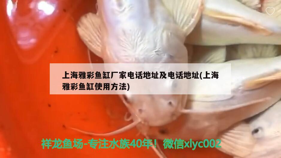 上海雅彩鱼缸厂家电话地址及电话地址(上海雅彩鱼缸使用方法) 广州祥龙国际水族贸易