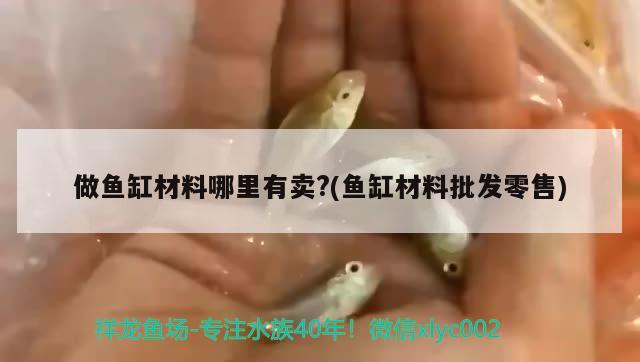 做鱼缸材料哪里有卖?(鱼缸材料批发零售) 三间鼠鱼