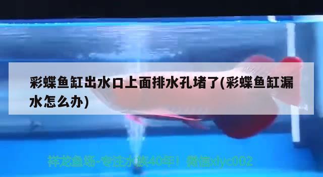 彩蝶鱼缸出水口上面排水孔堵了(彩蝶鱼缸漏水怎么办) 黑影道人鱼