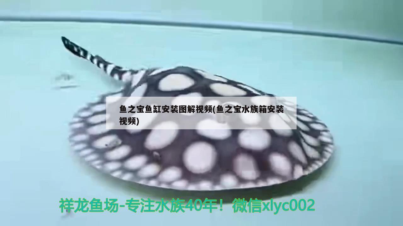 鱼之宝鱼缸安装图解视频(鱼之宝水族箱安装视频) 鱼缸/水族箱