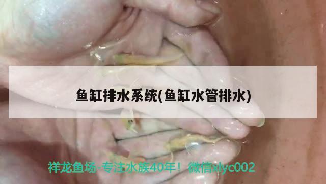 鱼缸排水系统(鱼缸水管排水)