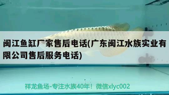 闽江鱼缸厂家售后电话(广东闽江水族实业有限公司售后服务电话)