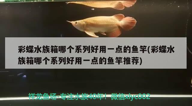 彩蝶水族箱哪个系列好用一点的鱼竿(彩蝶水族箱哪个系列好用一点的鱼竿推荐)