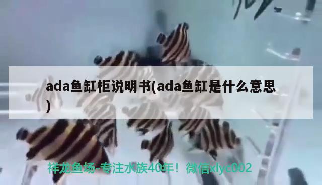 ada鱼缸柜说明书(ada鱼缸是什么意思)