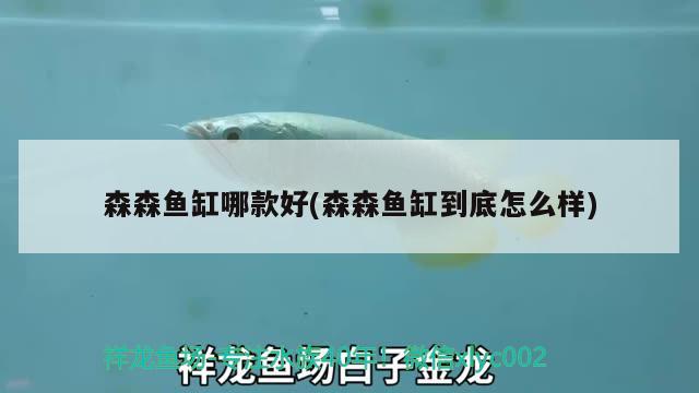 奎屯龙门水族鱼店 全国水族馆企业名录 第4张