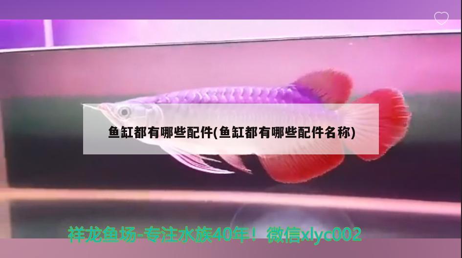 鱼缸都有哪些配件(鱼缸都有哪些配件名称) 麦肯斯银版鱼