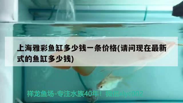 上海雅彩鱼缸多少钱一条价格(请问现在最新式的鱼缸多少钱) 二氧化碳设备