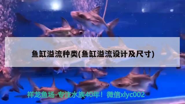 鱼缸溢流种类(鱼缸溢流设计及尺寸)