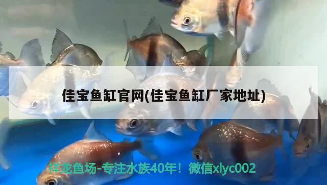 风水鱼缸摆放位置(家庭风水鱼缸摆放位置) 鱼缸风水