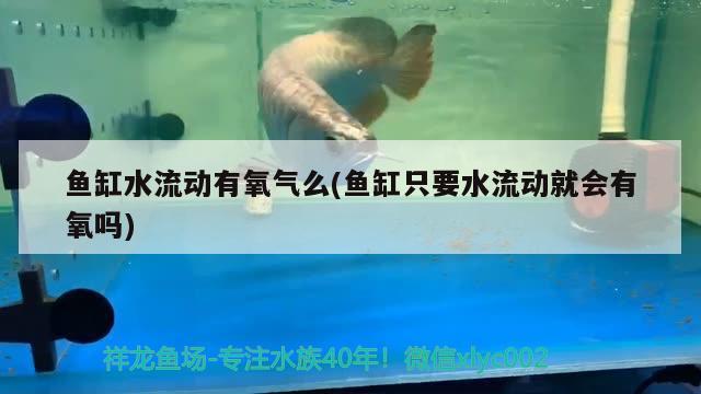 鱼缸水流动有氧气么(鱼缸只要水流动就会有氧吗) 印尼小红龙